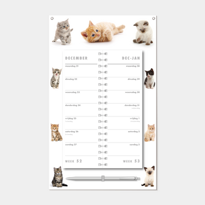 OMSLAGKALENDER 2027 KATTEN