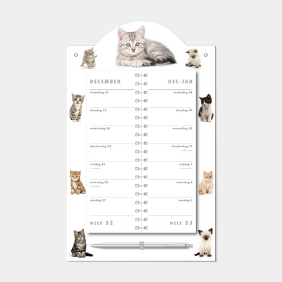 LUXE OMSLAGKALENDER 2027 KATTEN