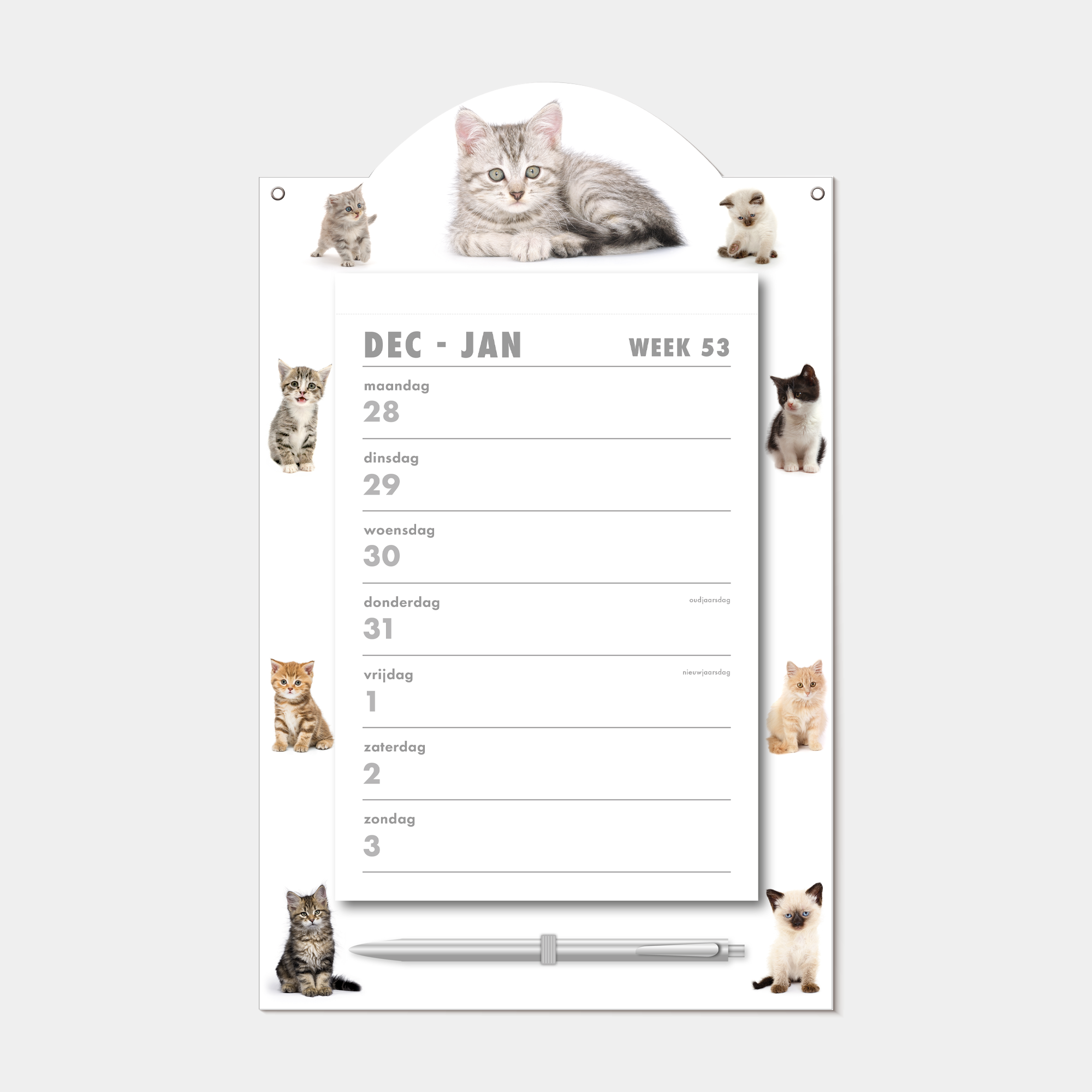WEEKSCHEURKALENDER 2027 KATTEN