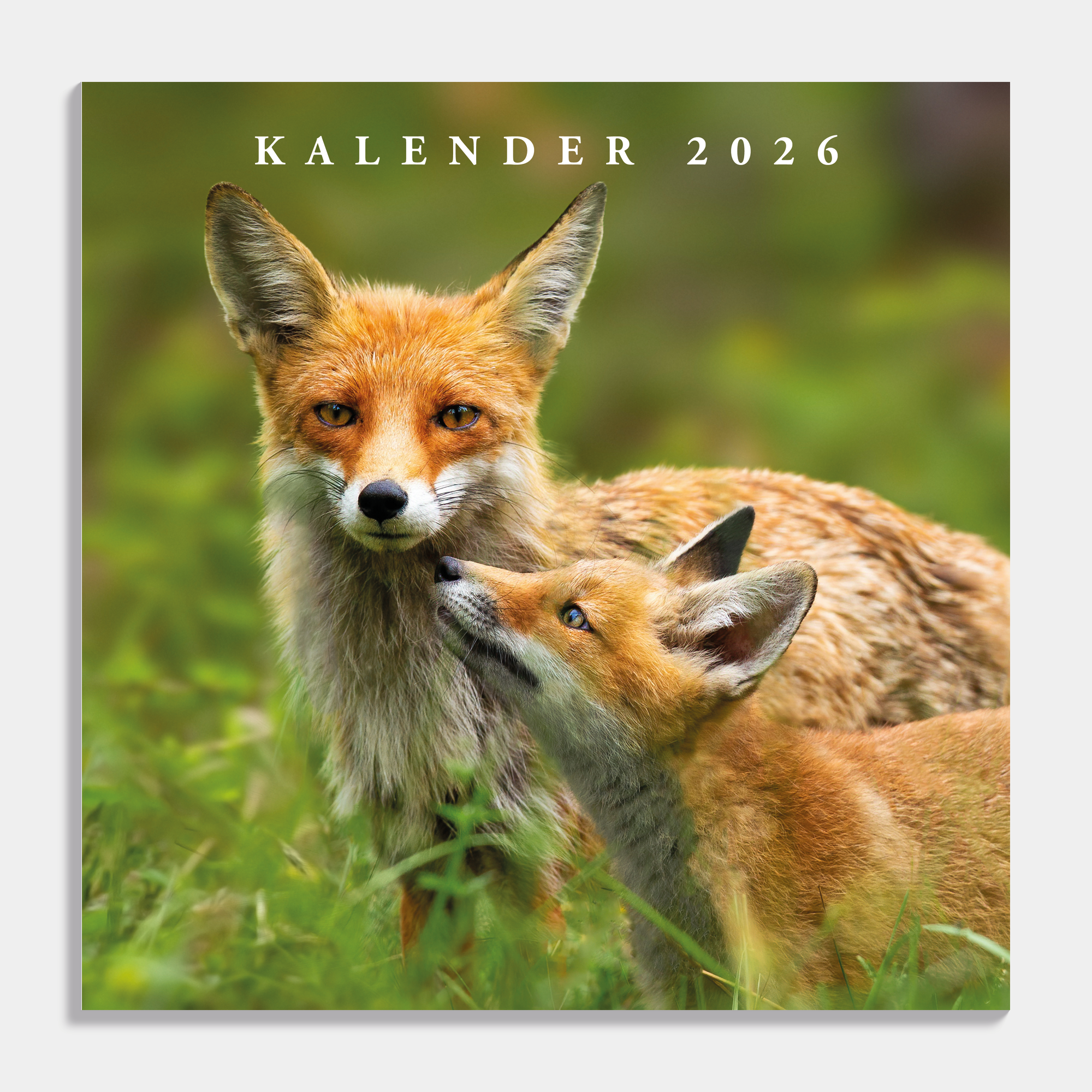 JAARKALENDER 2026 NATUUR