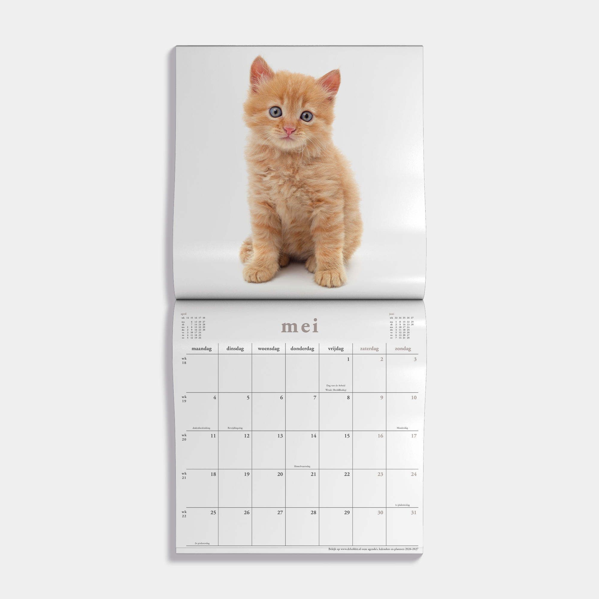 JAARKALENDER 2026 KATTEN