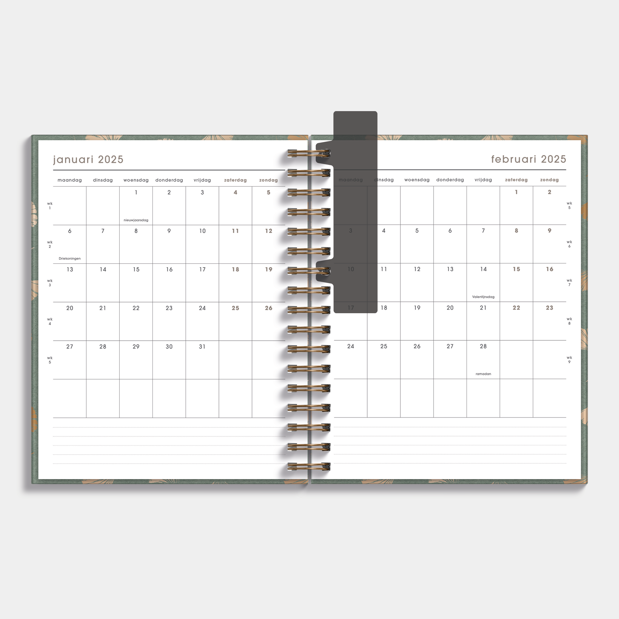 WEEKPLANNER 2025 A5+ GINKGO