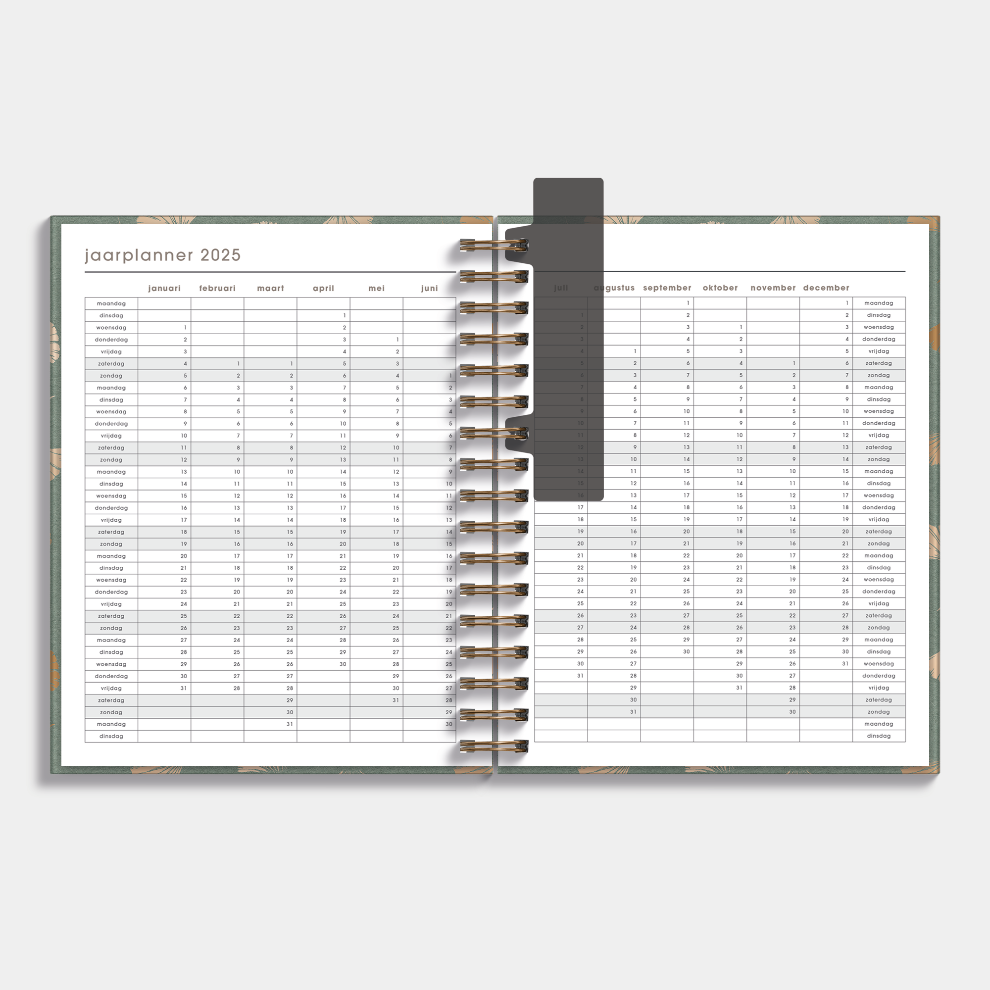 WEEKPLANNER 2025 A5+ GINKGO