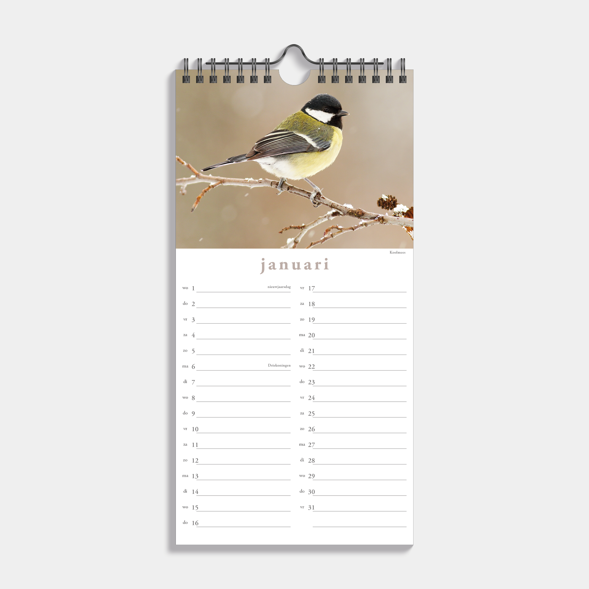 MINIKALENDER 2025 30X15 VOGELS