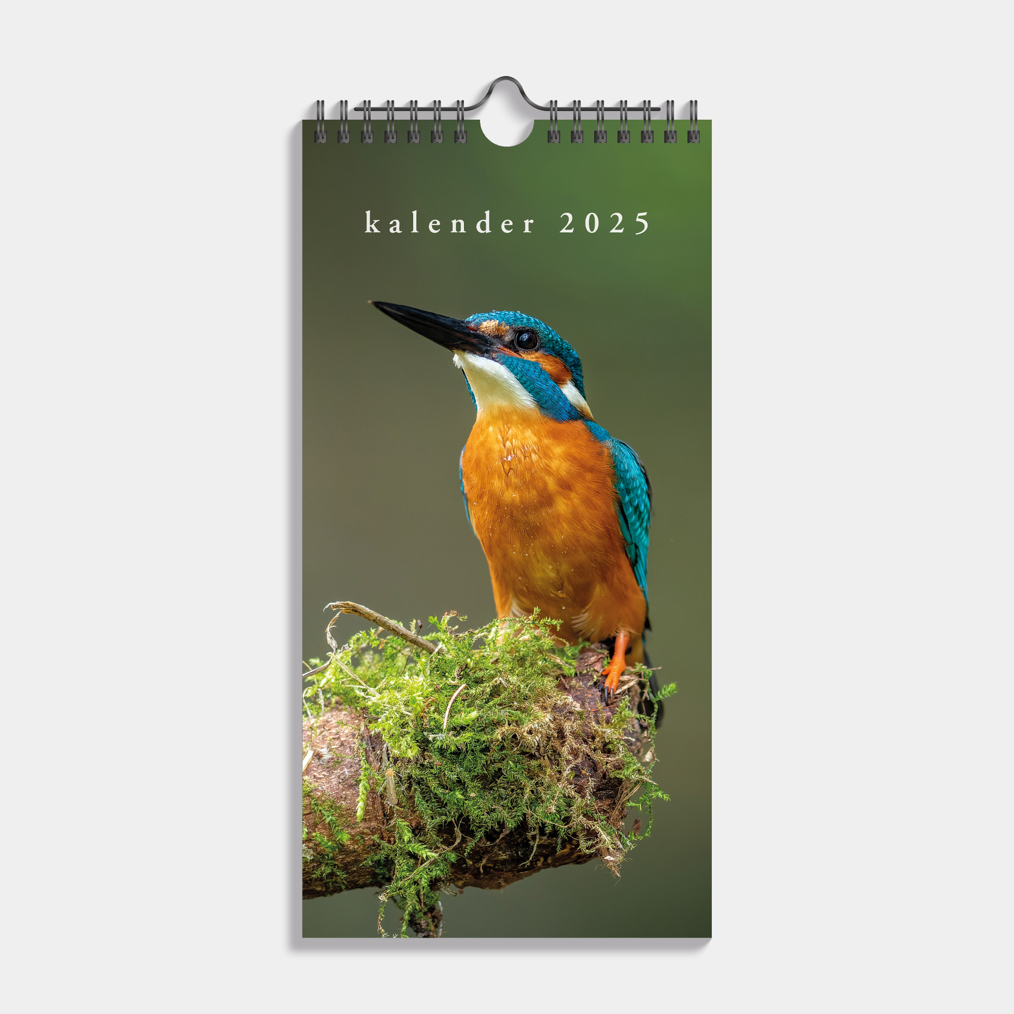 MINIKALENDER 2025 30X15 VOGELS