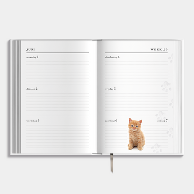 AGENDA 2026-2027 ±A5 KATTEN