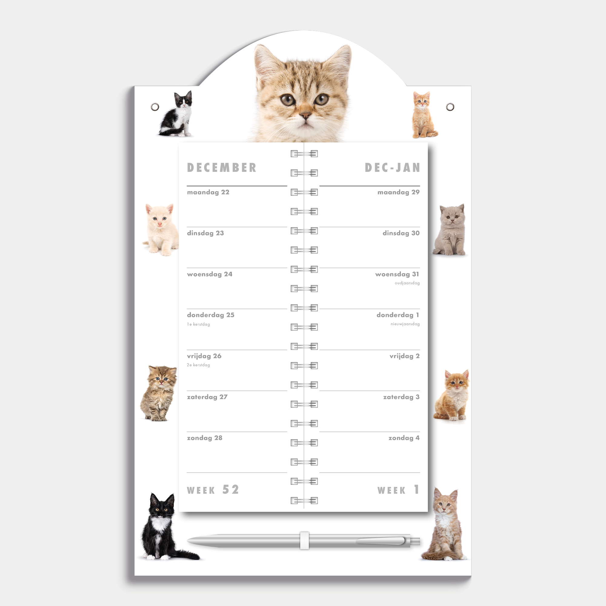 luxe omslagkalender 2026 met 2-weeks overzicht op een kartonnen bord met foto's van jonge katten en kittens – binnenwerk met 2 week overzicht.