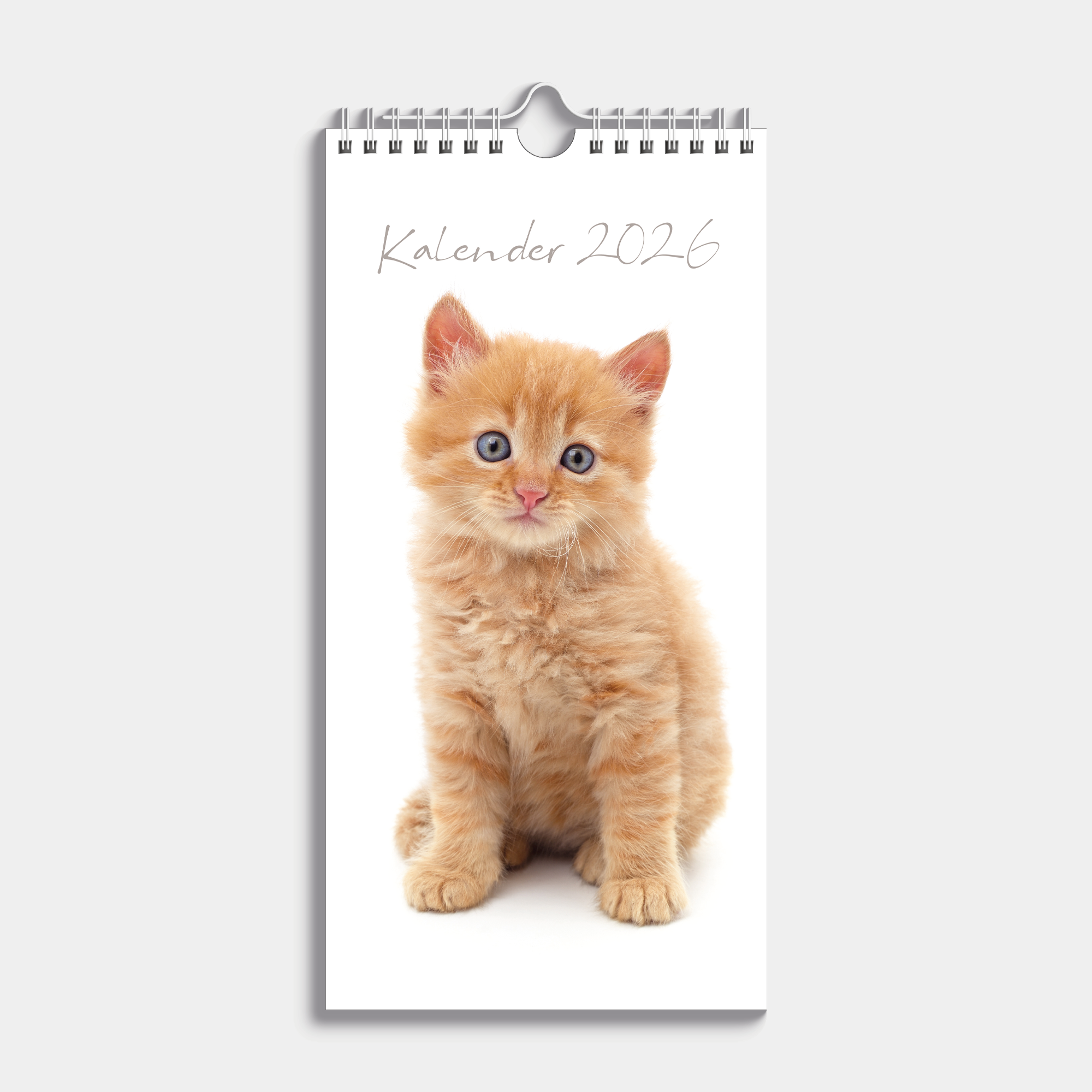 Kleine spiraalgebonden jaarkalender 2026 met afbeeldingen van katten – vooraanzicht.