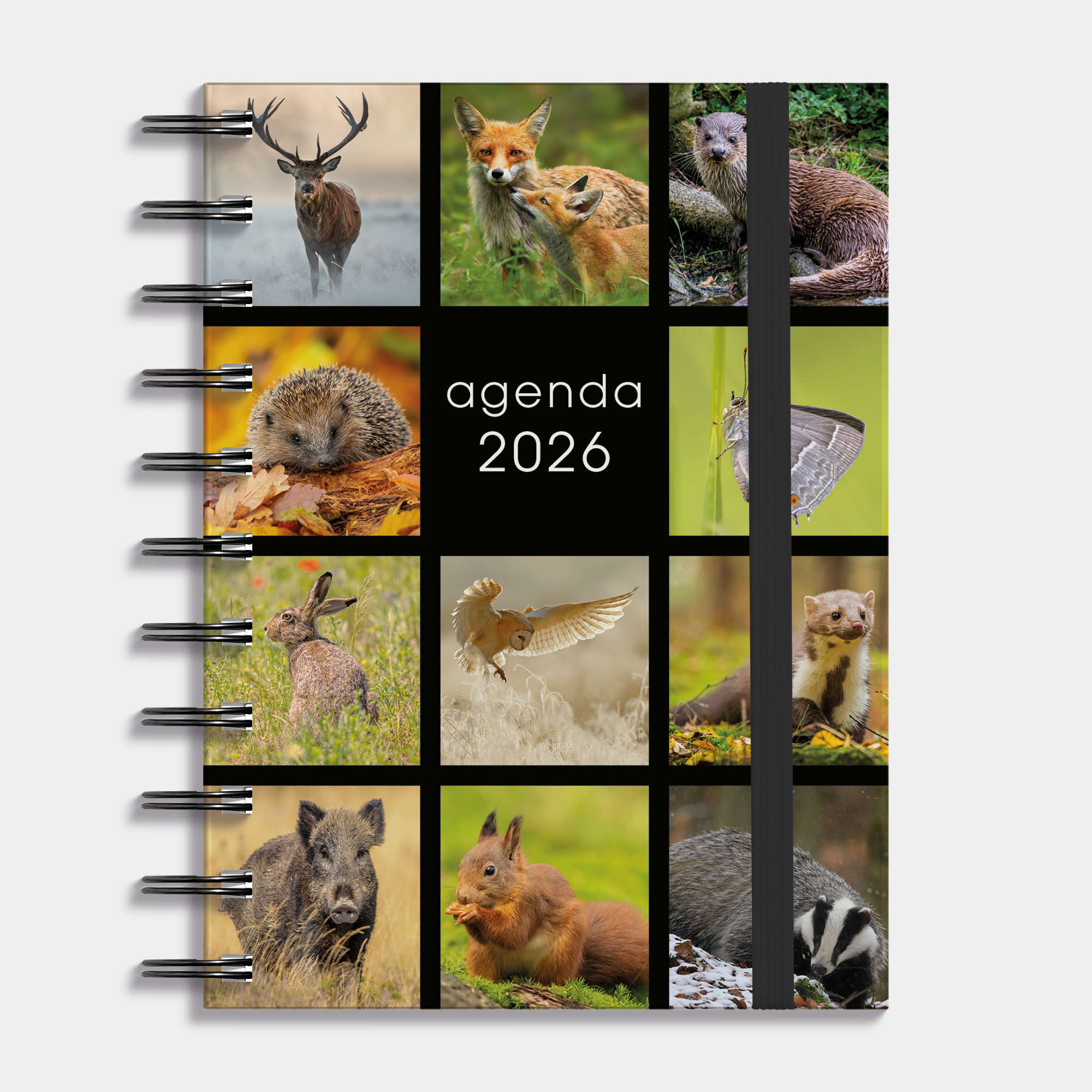 A6 ringband agenda 2026 met een foto van een kat, harde cover en elastische sluiting – vooraanzicht.