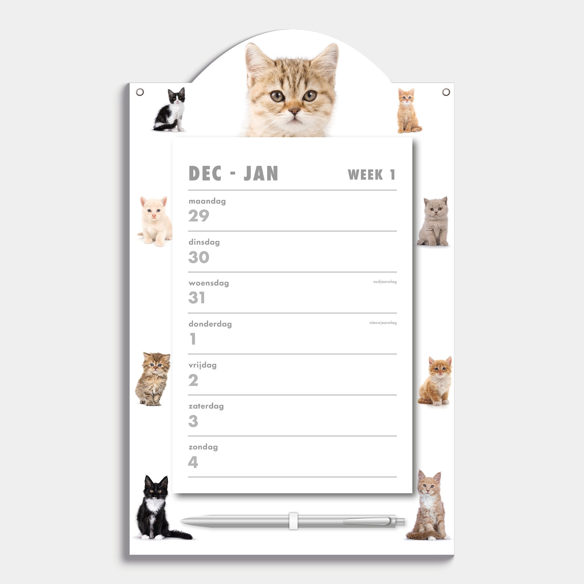 Scheurkalender 2026 op een kartonnen bord voorzien van foto's van schattige katten en kittens, met pen en ophangkoord – binnenwerk met weekoverzicht.